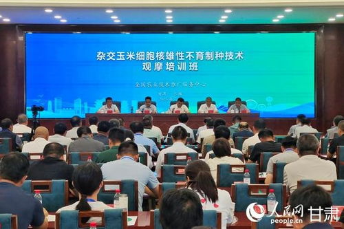 雜交玉米細胞核雄性不育制種技術觀摩培訓會在甘肅張掖成功舉辦，助力技術推廣與服務提升